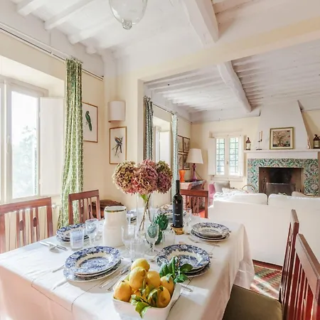Among The Woods In Villa Camaiore