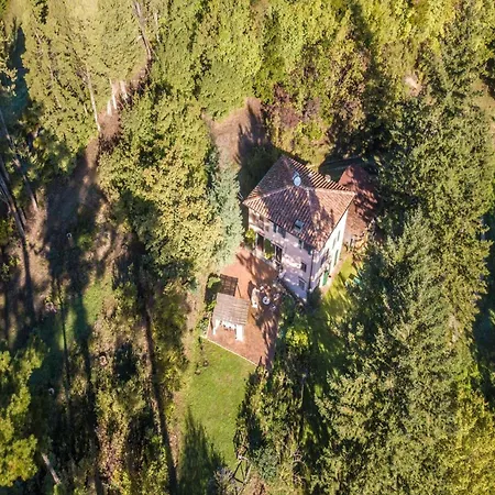 Among The Woods In Villa *
