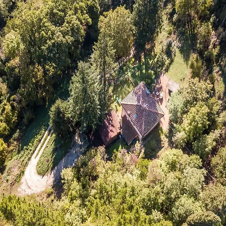 Among The Woods In *