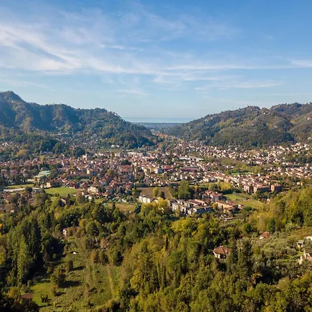 Villa Among The Woods In Camaiore